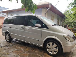 Mercedes Viano foto 5