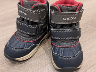 Geox 22