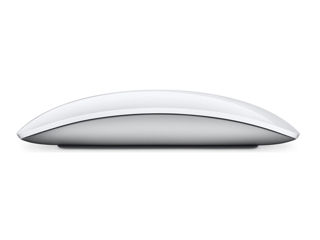 Apple Magic Mouse (MXK53ZMA) foto 1