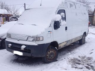 Fiat Ducato foto 2