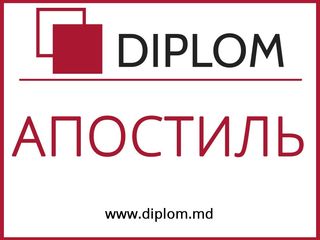 Сеть бюро переводов Diplom в Кишинёве на Рышкановке. Апостиль. Нотариальный перевод. foto 5