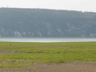 Un loc pitoresc ,pe malul riului Nistru ,sat. Molovata foto 2