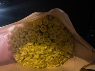 Promotia zilei 101 trandafiri olanda la doar 1200 lei!! Livrarea gratis in raza orasului!! foto 3