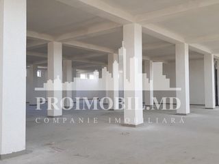 Chirie Complex Comercial/Industrial! 4000 m.p. Ialoveni! foto 6