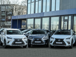 Lexus NX Series foto 2