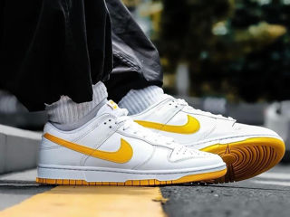 Новые оригинальные Nike Dunk Low Retro foto 1