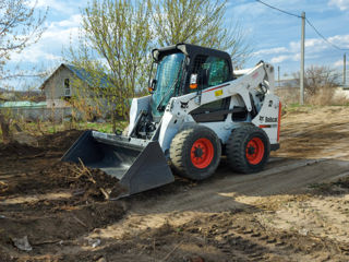 Bobcat foto 2