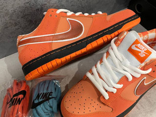 Nike SB Dunk Low Orange Lobster Unisex foto 3