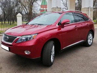 Lexus RX Series