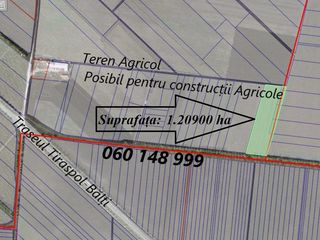 Teren de vânzare, suprafața:	1,2 hectare, la traseul bălți-tiraspol. alături construcții agricole!!! foto 2