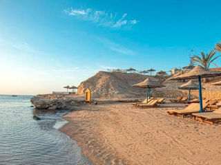Egypt! Pyramisa Beach Resort Sharm El Sheikh 5*! Din 17.04! foto 7