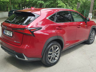 Lexus NX Series