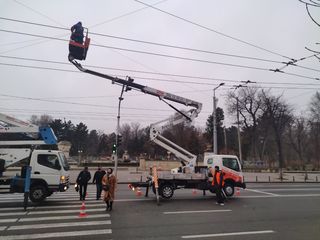 Arendă autoturn pentru instalarea decorațiunilor pe fatade, cladiri, impodobirea brazilor!