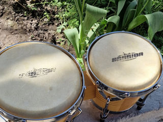 Set bongos XDrum Bongo