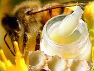 Пчелосемьи с ульями недорого foto 8