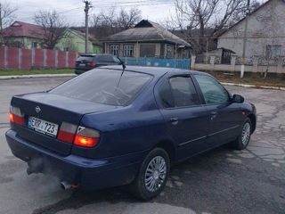 Nissan Primera foto 3