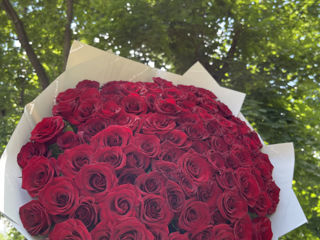 Trandafiri foto 2