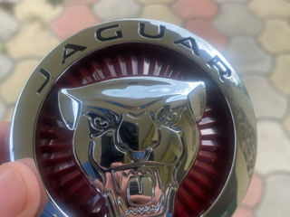 Знак ягуар Jaguar