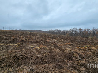 com. Ghidighici, Chișinău, Moldova foto 6