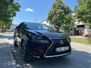 Lexus NX Series