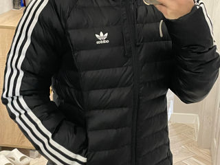 Scurta Adidas noua