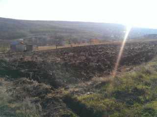 Se vinde lot de pamint pentru constructie,14 ari,in Baltata, (sagaidac de sus)15 km de la Chisinau. foto 4