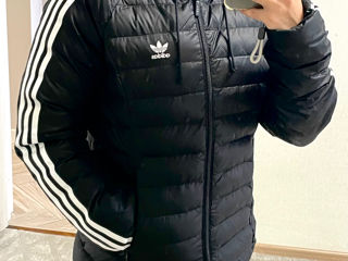 Scurta Adidas