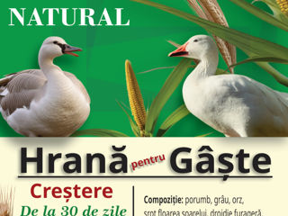 HRANA LA  ANIMALE  NATURALA  100% foto 4