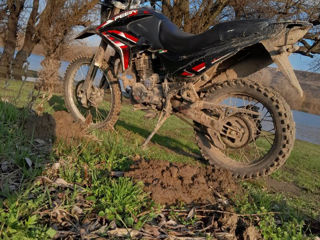 Viper Enduro foto 2