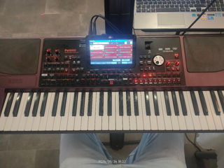 Korg pa 1000 foto 6