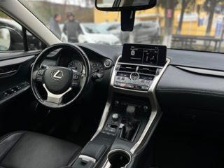 Lexus NX Series foto 12