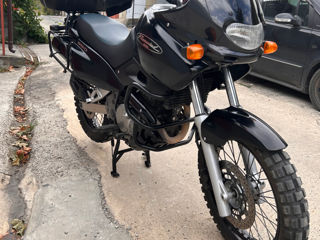 Suzuki XF650 foto 5