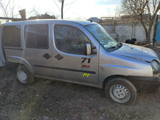 Fiat Doblo Cargo