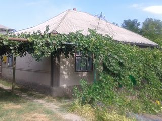 Se vinde casa in orasul Soroca,raionul Bujereuca. foto 1