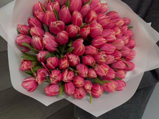 Lalele la pret angro! Livrare flori Тюльпаны оптом и в букете!Доставка цветов Tulips delivery flower foto 10