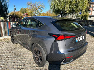 Lexus NX Series foto 5