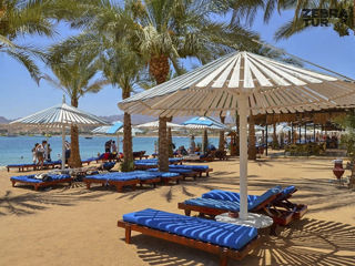 Egipt, Sharm El Sheikh - Albatros Aqua Park Sharm 5* foto 5