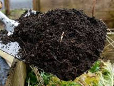 Ingrasamint natural удобрение Torf Compost