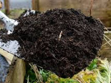 Ingrasamint natural удобрение Torf Compost foto 1