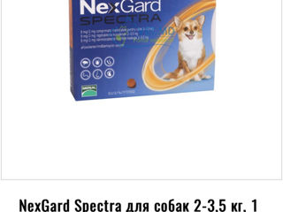 Nexgard spectra  2-3.5 kg foto 2