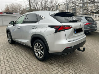 Lexus NX Series foto 5