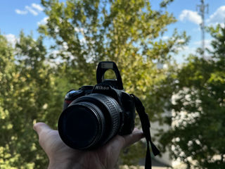 Nikon D3100