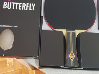 Butterflay Zhang Jike foto 1