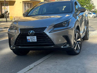 Lexus NX Series