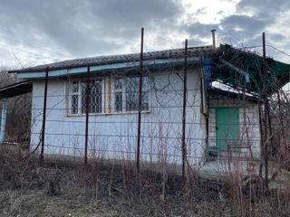 Продаю дачу рядом с с.Балцата Криулянского района. 15 км. от Кишинева. foto 4