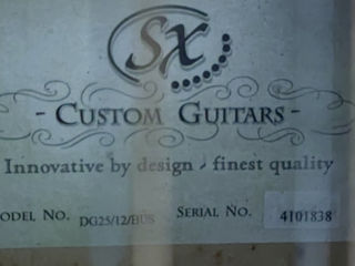 SX 12string gutar Pro foto 2