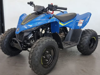 CFMOTO CForce 110