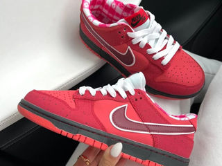 Nike SB Dunk Lobster Red Women's foto 5