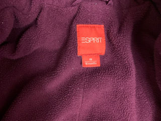 Зимний комбинезон,12-18 месяцев , Esprit!! foto 2