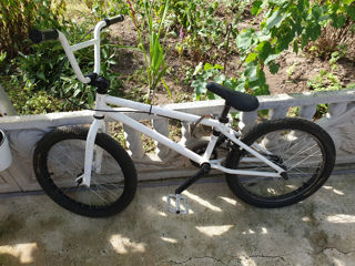 Bmx foto 2